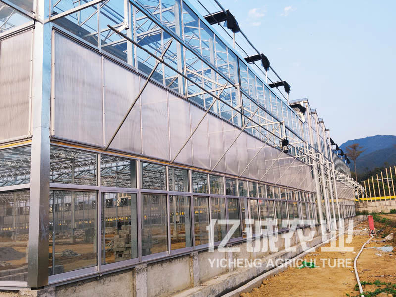 玻璃温室大棚